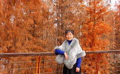 孩子爸爸们C幼儿园老师